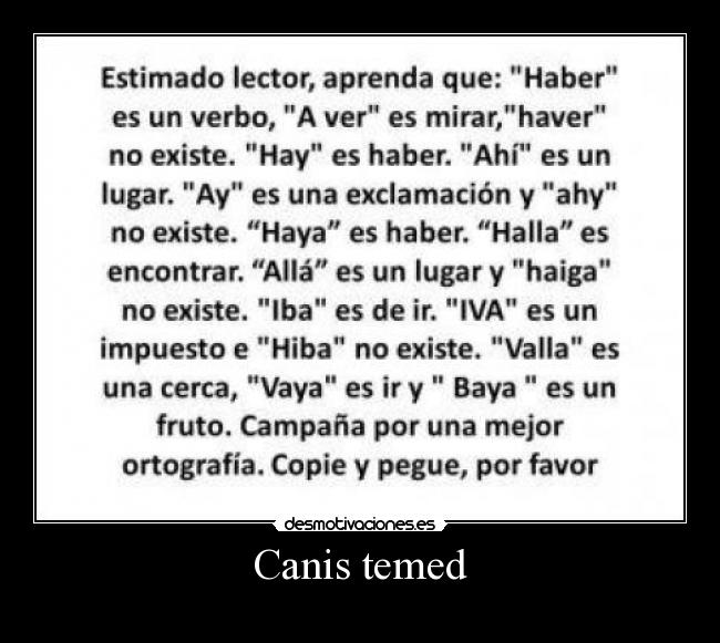 Canis temed -