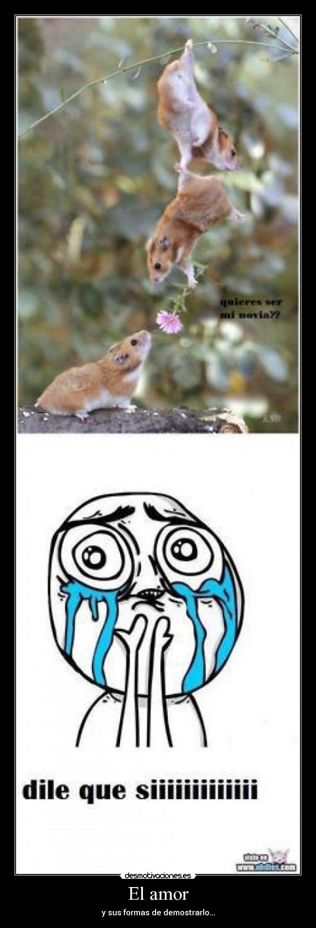 El amor - y sus formas de demostrarlo...