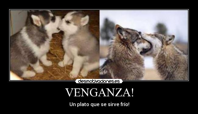 VENGANZA! - Un plato que se sirve frío!