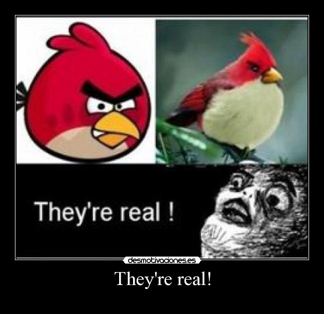 Theyre real! - 