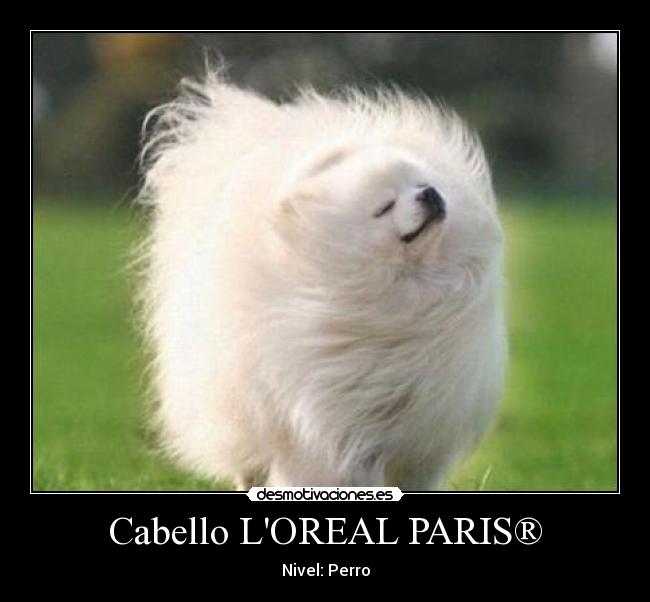 Cabello LOREAL PARIS® - 