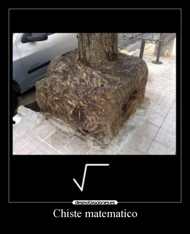 Chiste matematico -