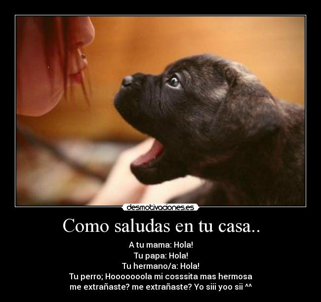 Como saludas en tu casa.. -