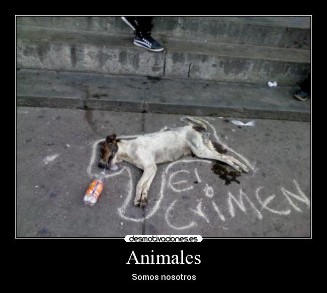 Animales -