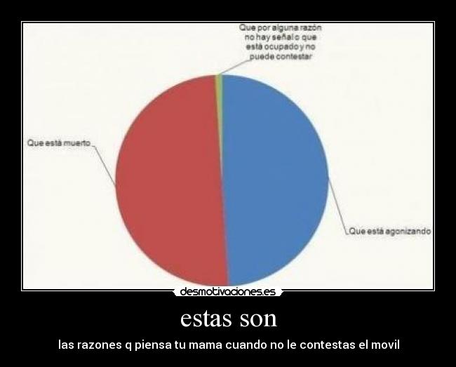 estas son - las razones q piensa tu mama cuando no le contestas el movil