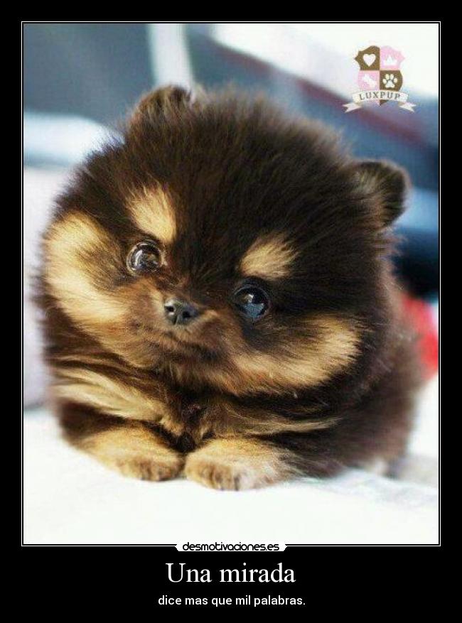 Una mirada -