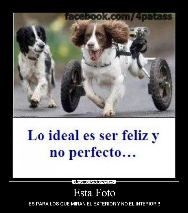 carteles lulixd desmotivaciones