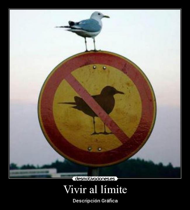 carteles limite desmotivaciones
