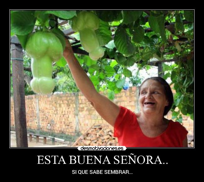 ESTA BUENA SEÑORA.. - SI QUE SABE SEMBRAR...