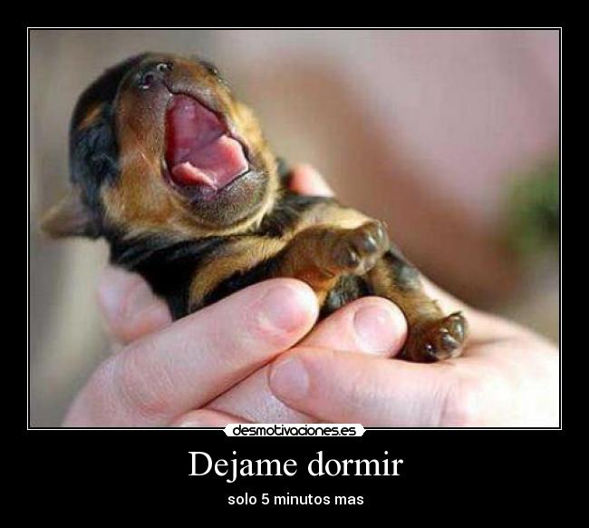 Dejame dormir -