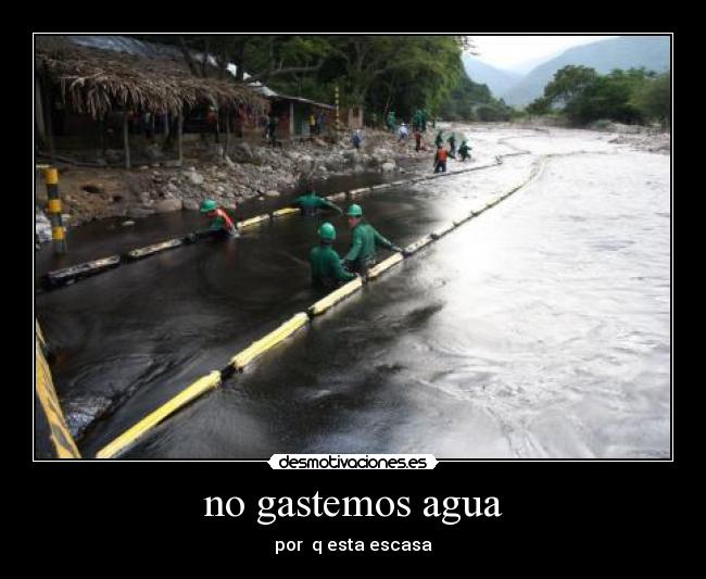 carteles petter sanchez desmotivaciones