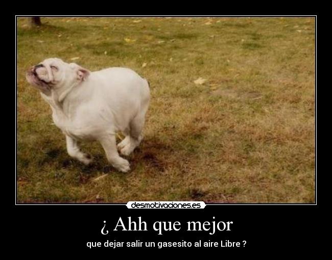 ¿ Ahh que mejor - que dejar salir un gasesito al aire Libre ?