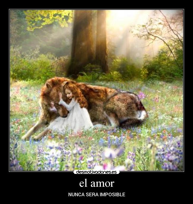 el amor - 