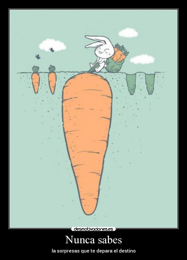 Nunca sabes - la sorpresas que te depara el destino