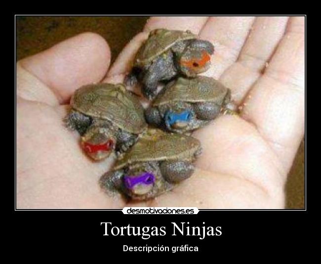 Tortugas Ninjas - Descripción gráfica