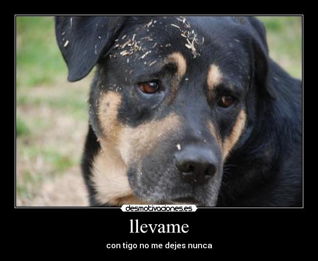llevame -