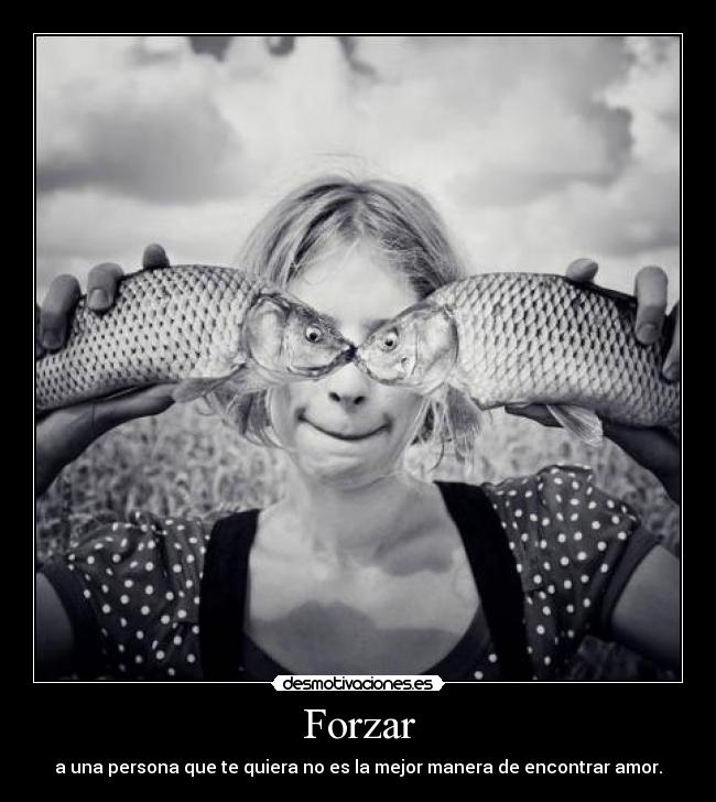 Forzar - 