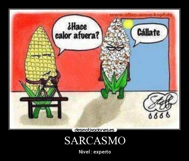 SARCASMO - Nivel : experto