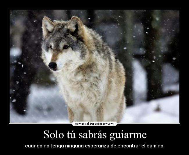 Solo tú sabrás guiarme - cuando no tenga ninguna esperanza de encontrar el camino.