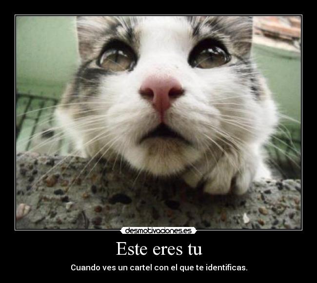 Este eres tu - Cuando ves un cartel con el que te identificas.