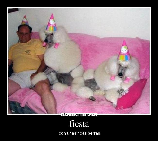 fiesta - 