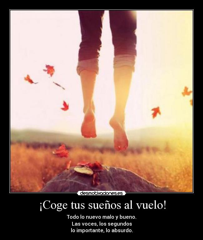 ¡Coge tus sueños al vuelo! - Todo lo nuevo malo y bueno.
Las voces, los segundos
lo importante, lo absurdo.