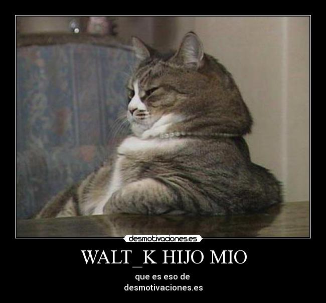 WALT_K HIJO MIO - que es eso de 
desmotivaciones.es