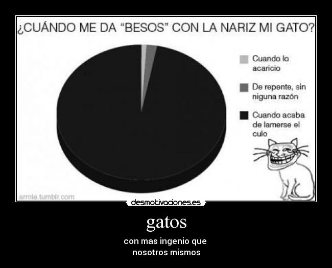carteles gatos gatos desmotivaciones
