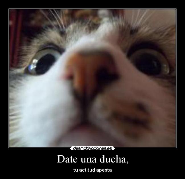 Date una ducha, - 
