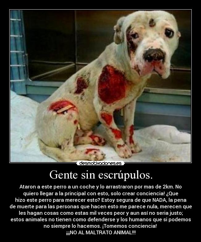 Gente sin escrúpulos. -