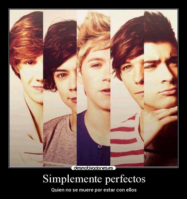 Simplemente perfectos -