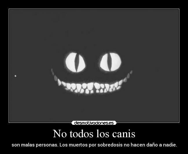 No todos los canis -
