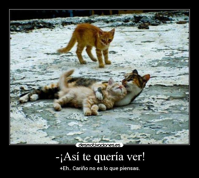 -¡Así te quería ver! - 