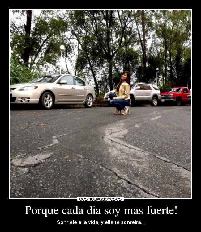 carteles porque cada dia desmotivaciones