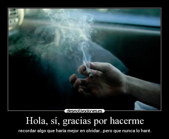 carteles gracias tse desmotivaciones