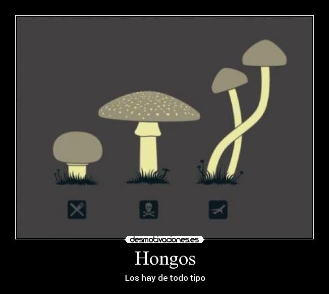 Hongos -