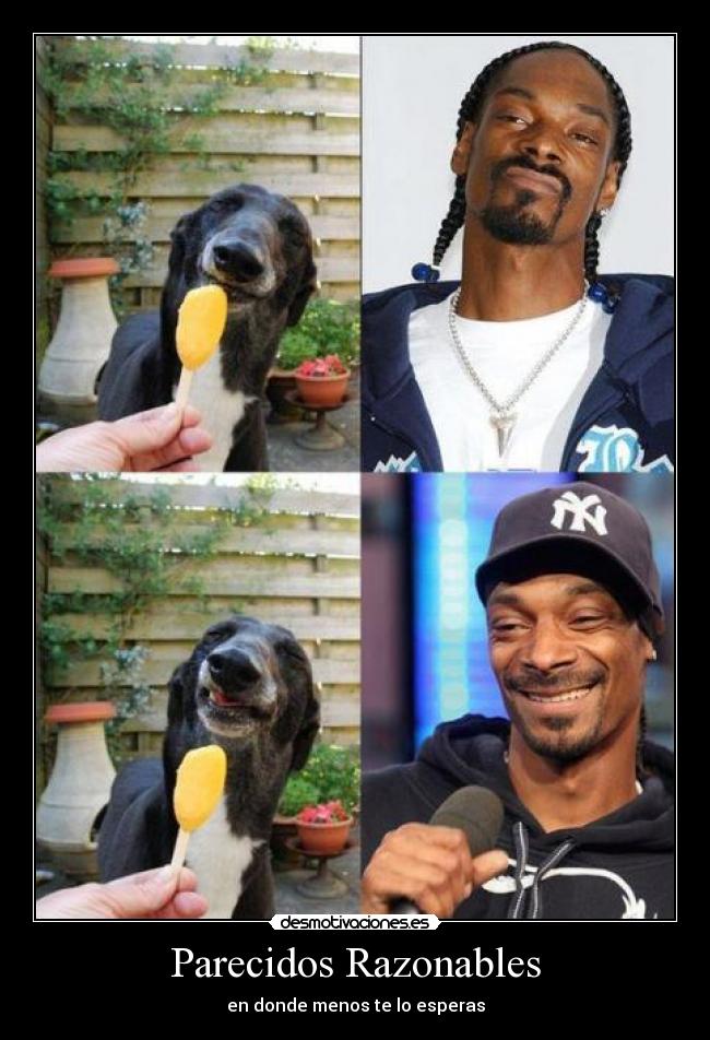 Parecidos Razonables -