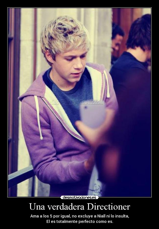 Una verdadera Directioner - 