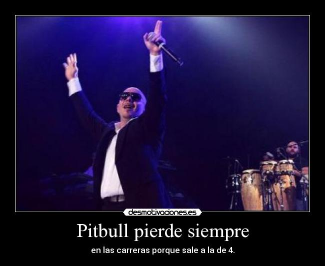 Pitbull pierde siempre - en las carreras porque sale a la de 4.