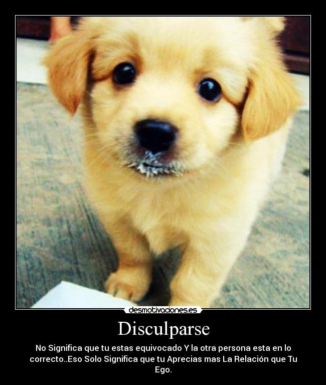 Disculparse -