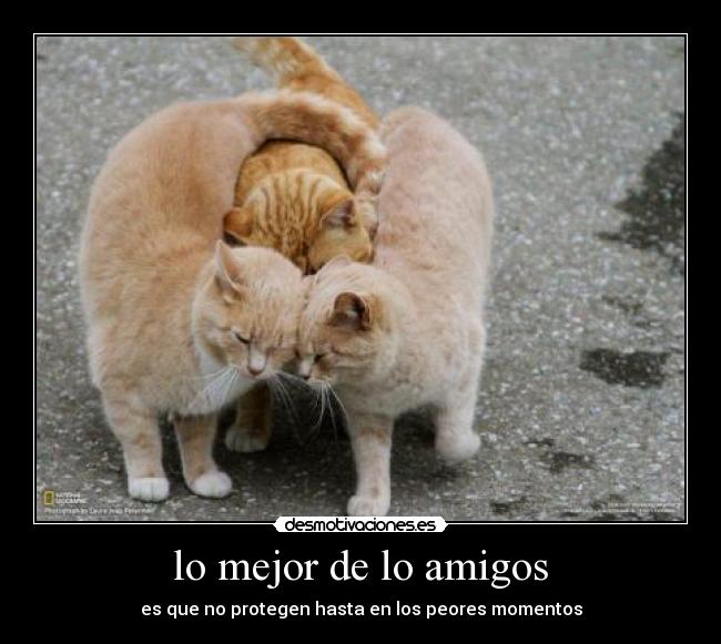 carteles amigos yirx desmotivaciones