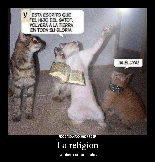 La religion -