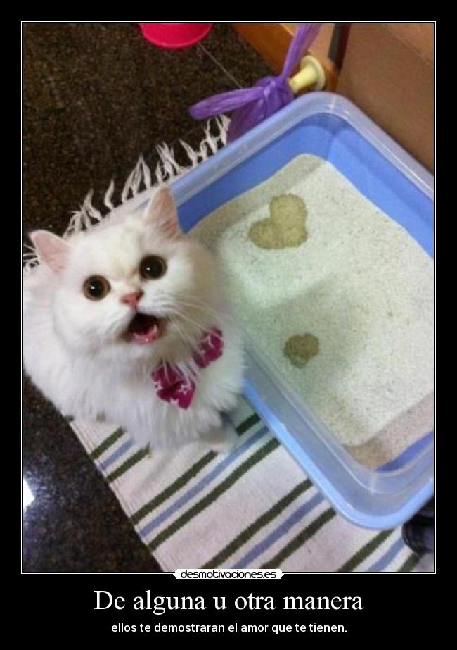 De alguna u otra manera -