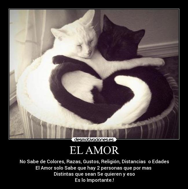 EL AMOR -