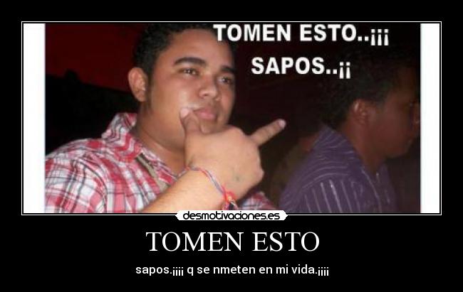 TOMEN ESTO - sapos.¡¡¡¡ q se nmeten en mi vida.¡¡¡¡