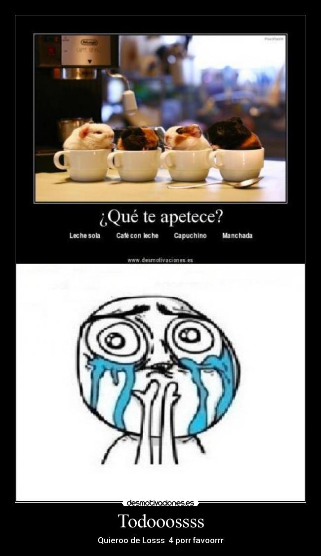 Todooossss - Quieroo de Losss 4 porr favoorrr