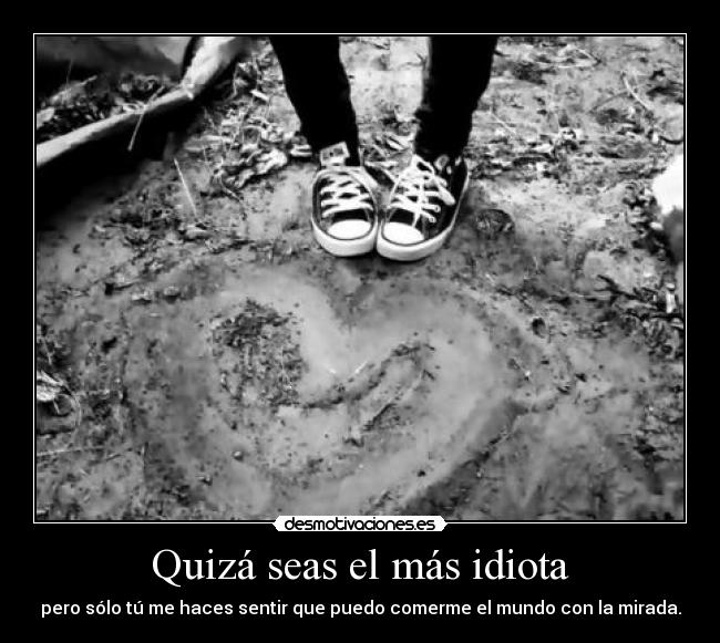 Quizá seas el más idiota -