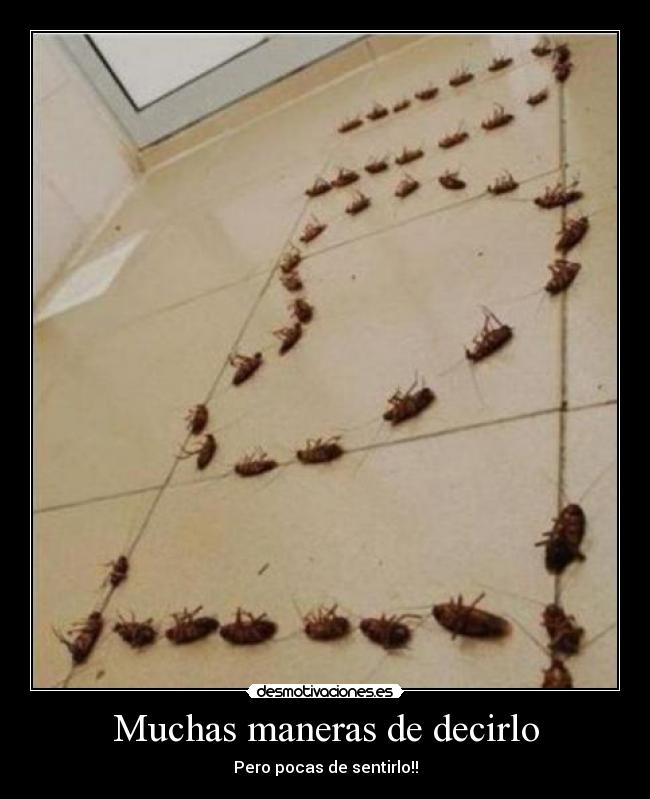 Muchas maneras de decirlo - Pero pocas de sentirlo!!