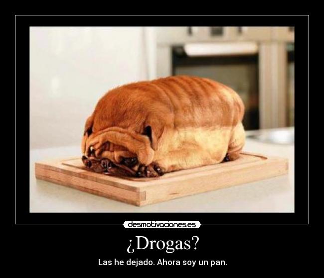 ¿Drogas? -
