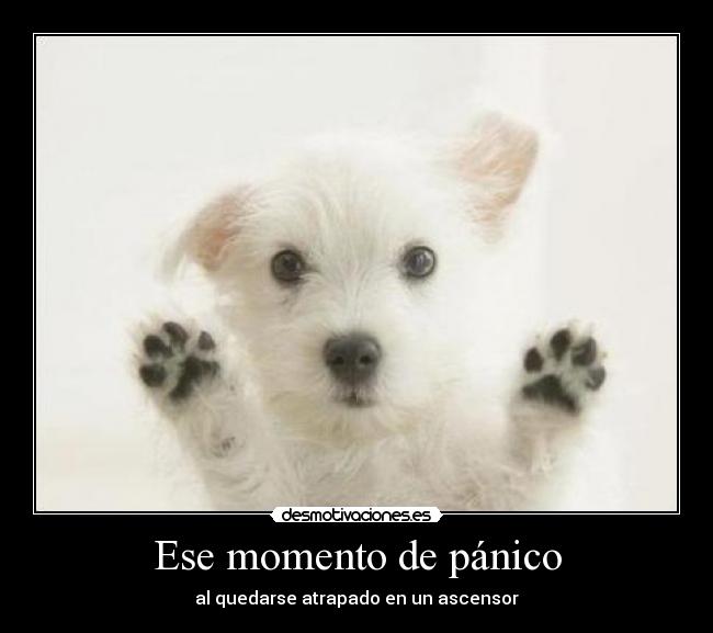 Ese momento de pánico - al quedarse atrapado en un ascensor